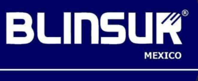 LogoBlinsur