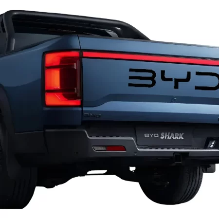 Letras Negro Mate Tapa Dmo Byd Shark 2025