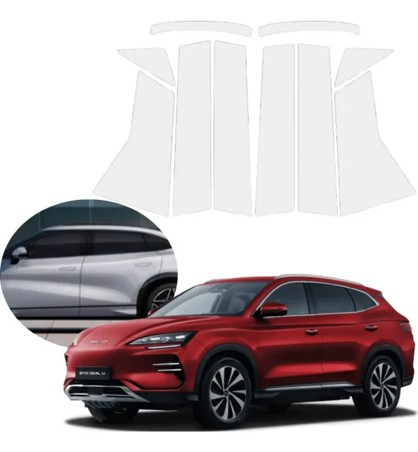 Protecciòn Ppf Postes Exteriores Byd Song 2024