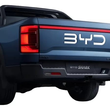 Letras Vinil Blanco Tapa Dmo Byd Shark 2024