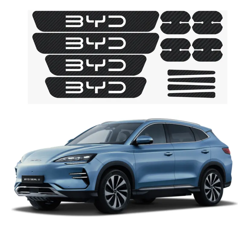 Kit Proteccion Estribos Y Maniguetas Fibra De Carbono  P/byd - Image 1