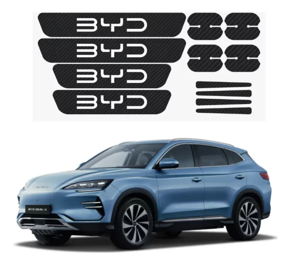 Kit Proteccion Estribos Y Maniguetas Fibra De Carbono  P/byd