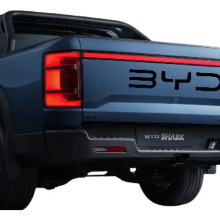 Letras Negro Brillante Tapa Dmo Byd Shark 2024