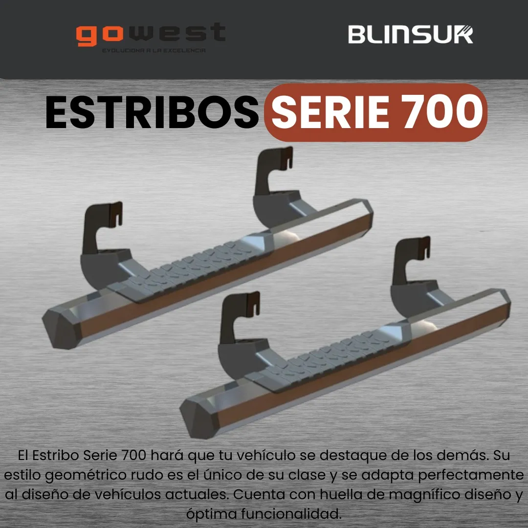 Estribos Serie 700 Ford Lobo F150 2009 - 2014 Cabina Regular - Image 2