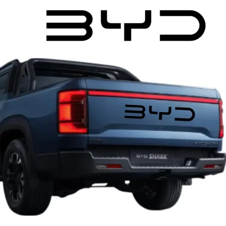 Letras Negro Brillante Tapa Dmo Byd Shark 2024 - Image 2