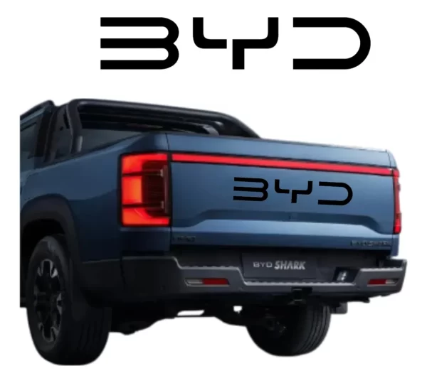 Letras Negro Brillante Tapa Dmo Byd Shark 2024