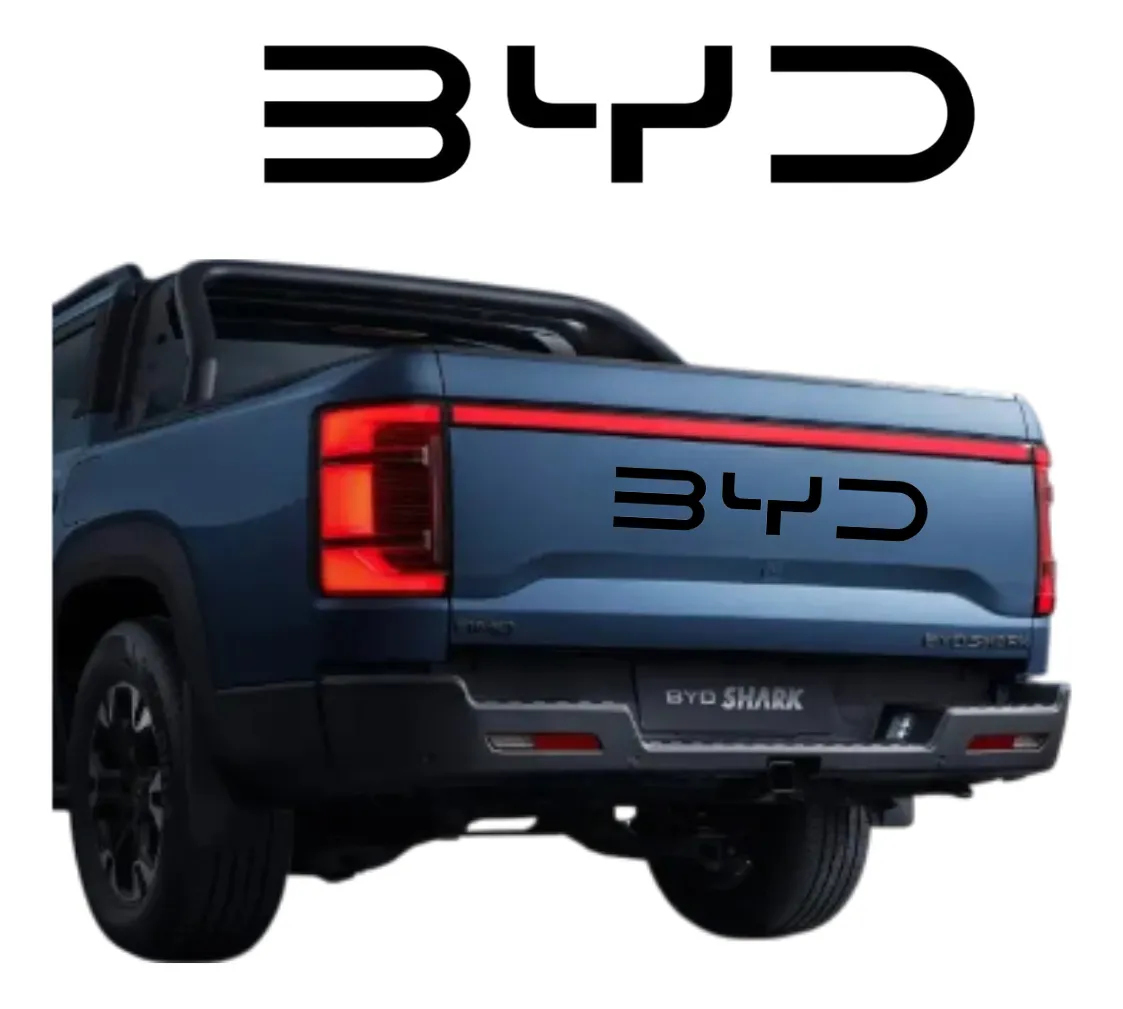 Letras Negro Brillante Tapa Dmo Byd Shark 2024 - Image 2