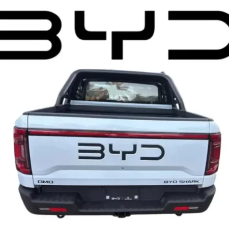 Letras Negro Mate Tapa Dmo Byd Shark 2025 - Image 2