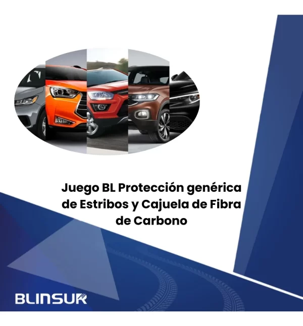Protección Fibra De Carbono Para Estribos Y Cajuela Genérico