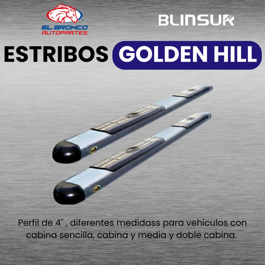 Estribos Gh Dodge Ram 4000 Cabina Corta 2010 Al 2021 - Image 2