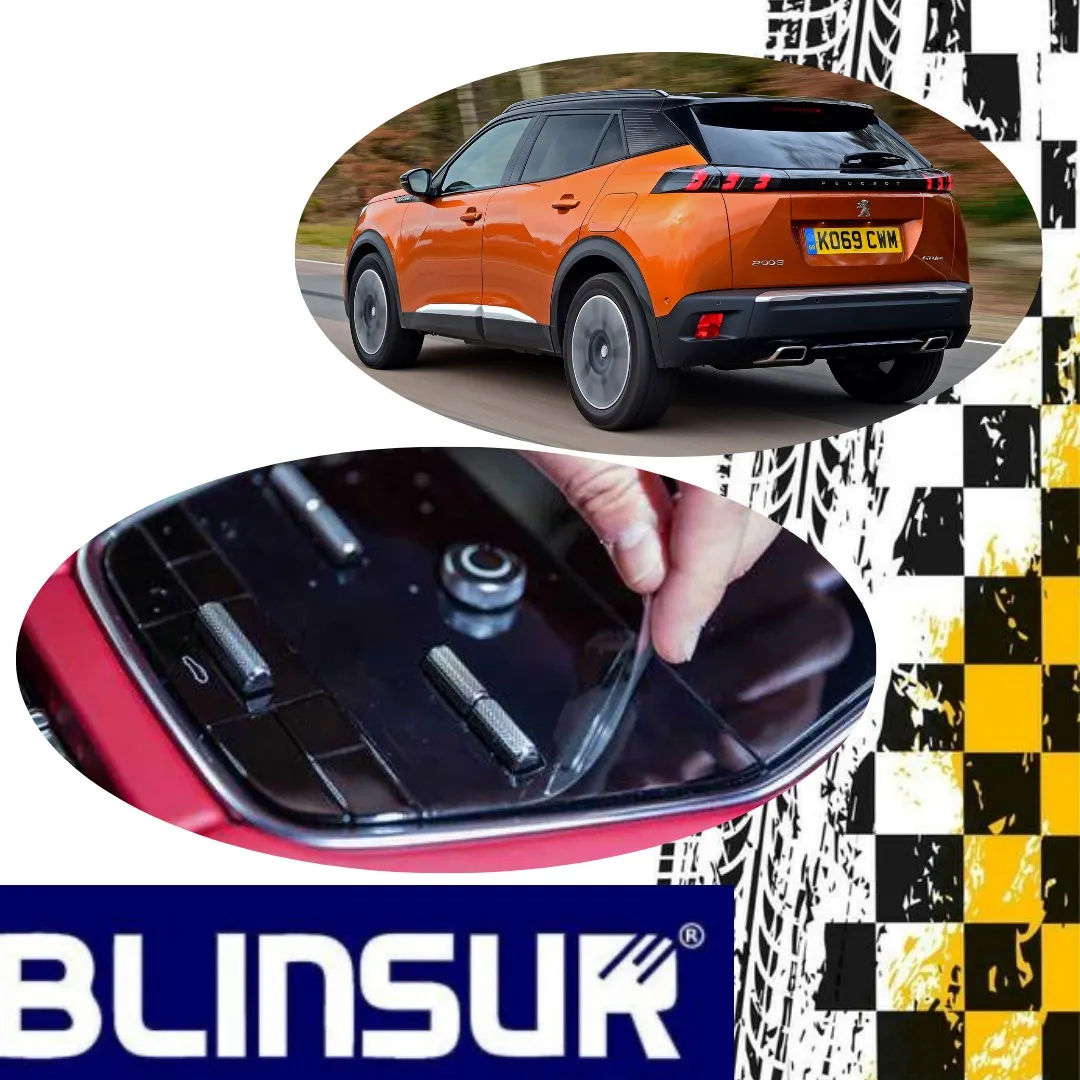 Protecciòn Ppfposte Exterior+panelcentral Peugeot2008 2024 - Image 2