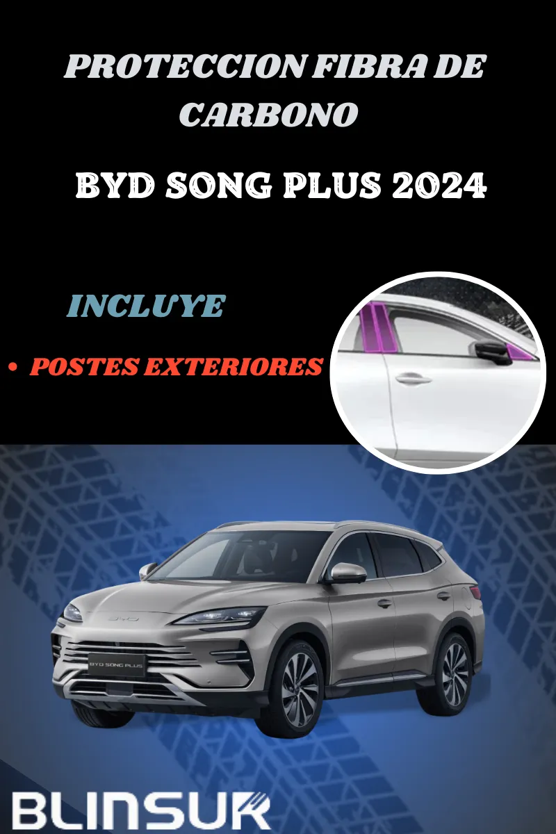 Fibra De Carbono Postes Exteriores Byd Song Plus 2024 - Image 2