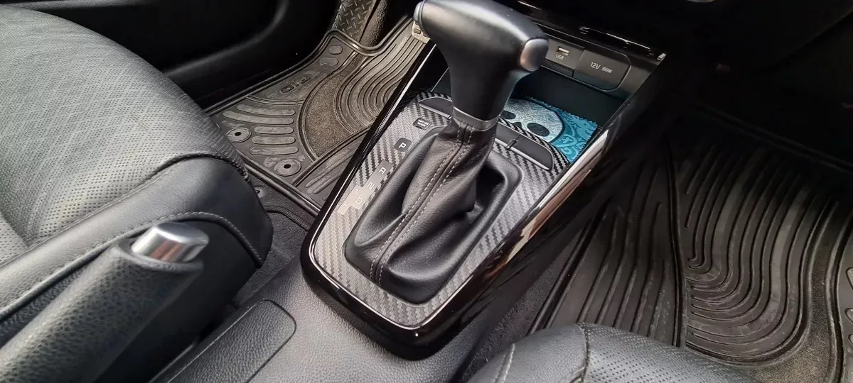 Protección Puertas Y Panel C. Compatible Con Rio 2020 - 2022 - Image 2