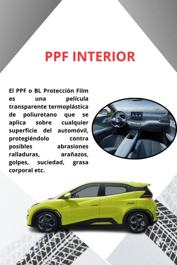Protección Pantalla, Clúster, Puertas Byd Dolphin Mini 2025