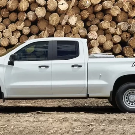 Stickers Calcomania Nissan Frontier Pro4x 2020 - 2023 Vinil - Image 3