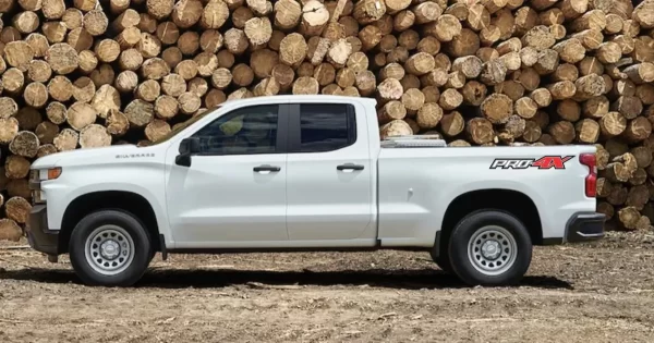 Stickers Calcomania Nissan Frontier Pro4x 2020 - 2023 Vinil