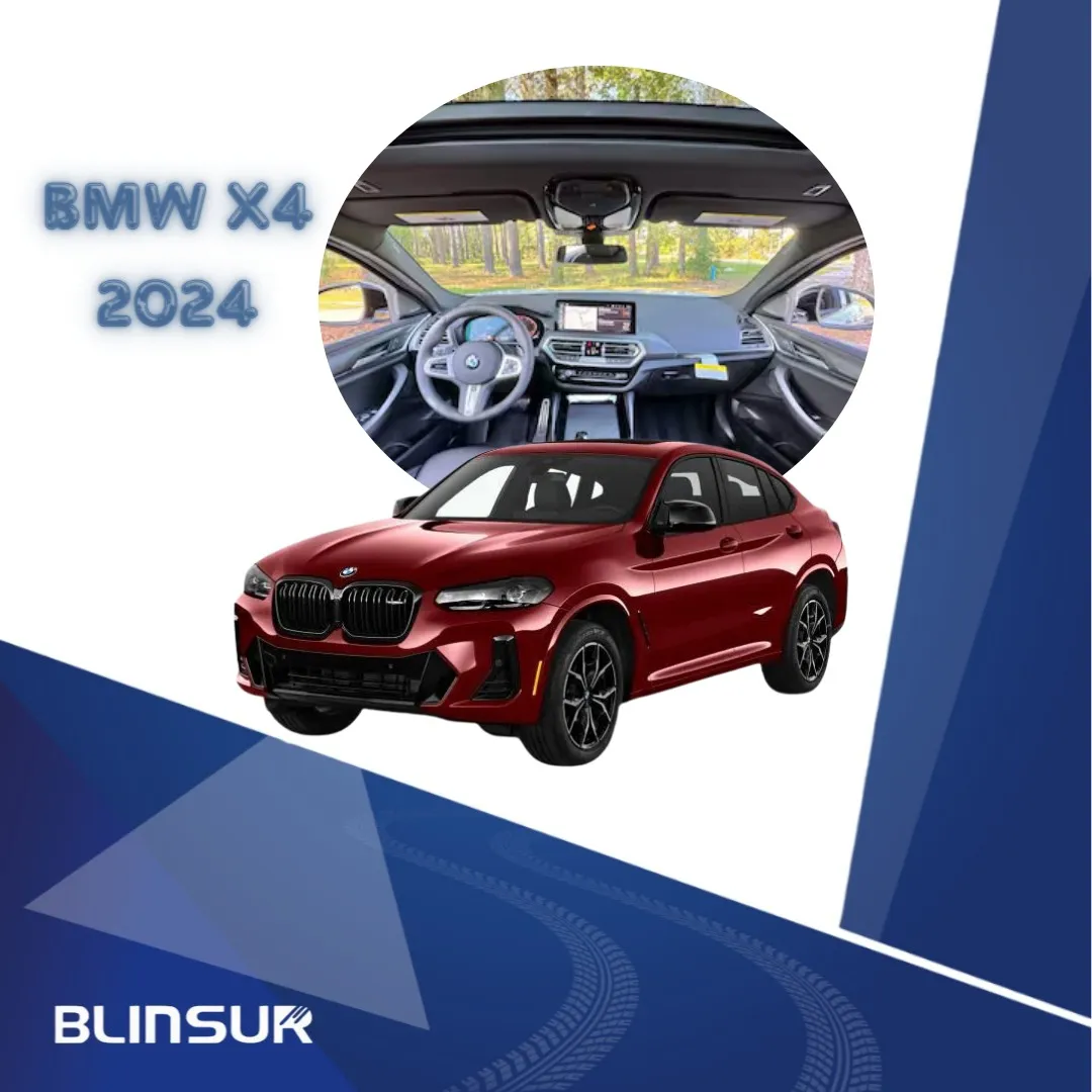 Protector Ppf 4 Puertas Y Panel Central Para Bmw X4 2024 - Image 3