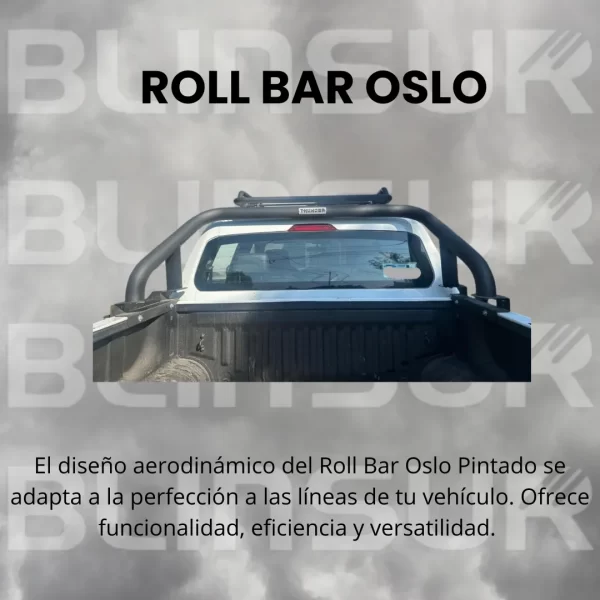 Roll Bar Oslo Para Byd Shark 2024 - 2025