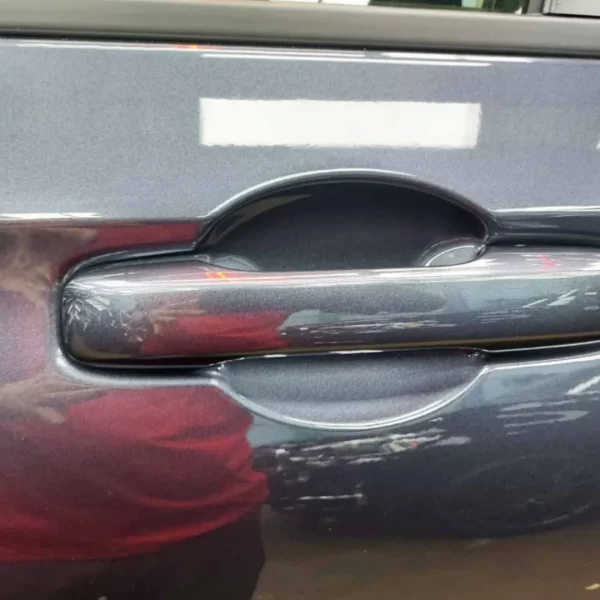 Kit Proteccion Estribos Y Maniguetas Fibra De Carbono  P/byd