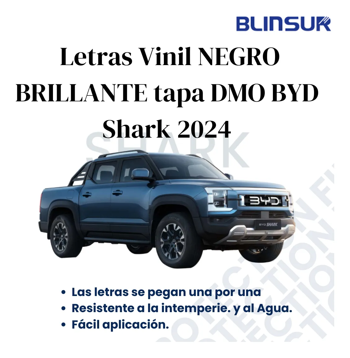 Letras Negro Brillante Tapa Dmo Byd Shark 2024 - Image 4