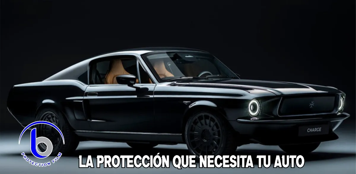Kit Protección Ppf Para Conchas De Manija Todos Los Autos - Image 5