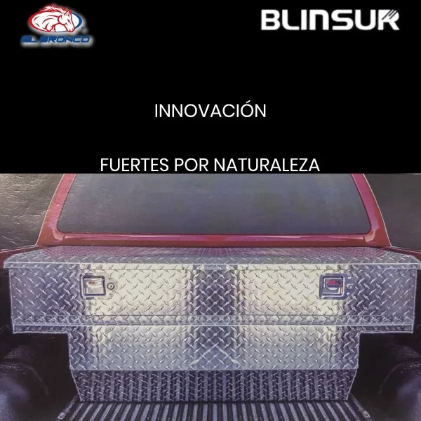 Caja De Herramientas Ford Ranger Wildtrak 2023 C/resaques