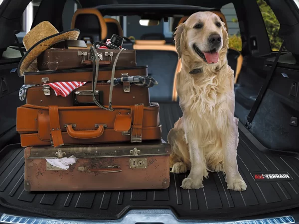 Tapete De Cajuela All Terrain Para Mg Gt 2022 Al 2025